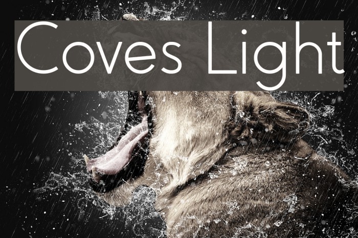 Coves Light 字体 examples