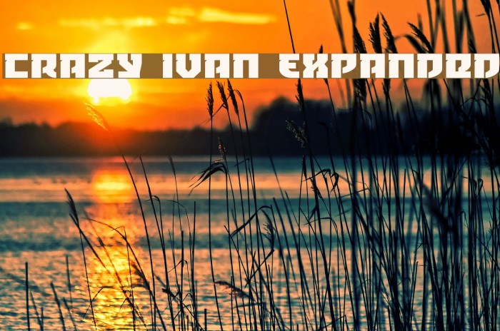 Crazy Ivan Expanded Polices examples