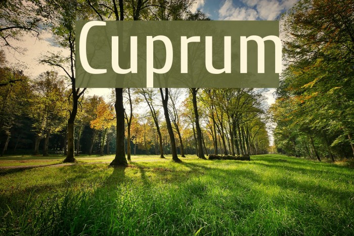 Cuprum Caratteri examples