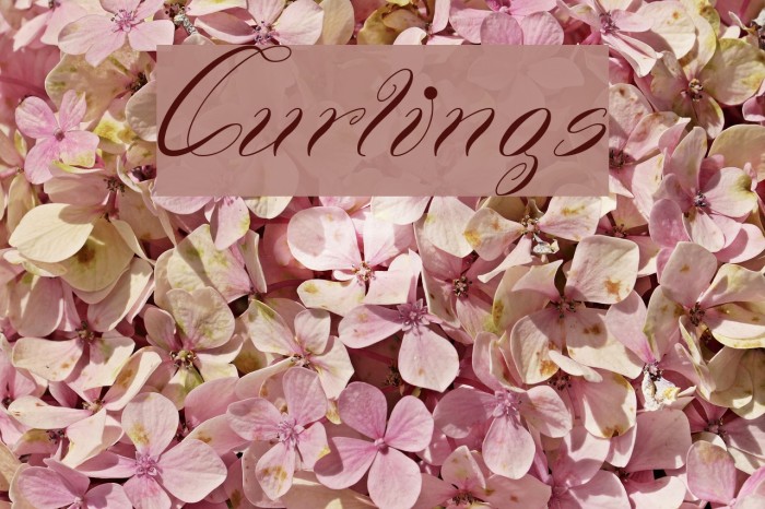 Curlings Polices examples