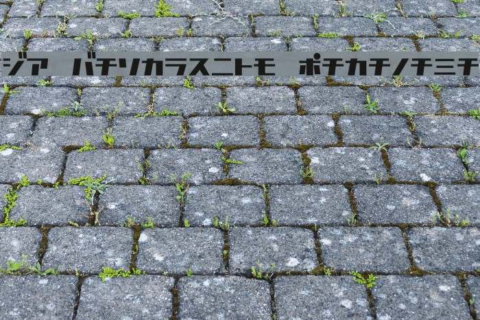 D3 Factorism Katakana Шрифта examples