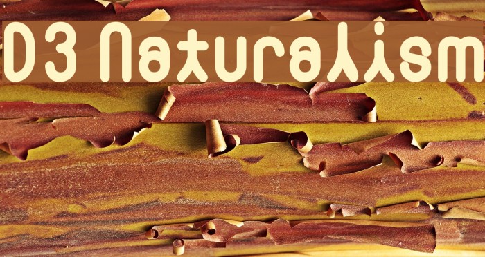 D3 Naturalism 字体 examples