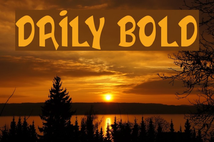 DAILY BOLD フォント examples