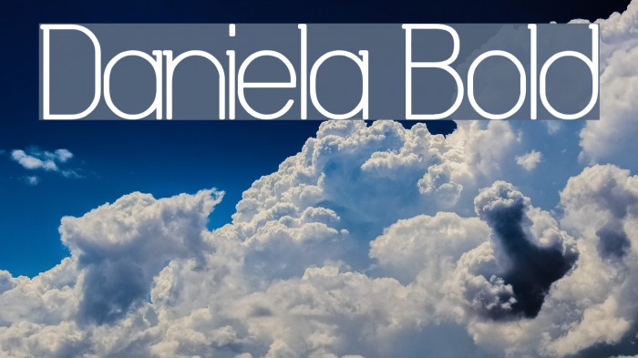 Daniela Bold Caratteri examples