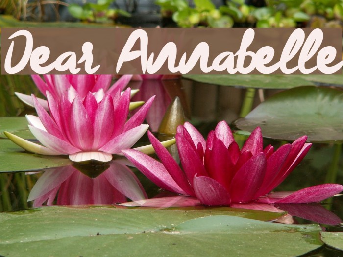 Dear Annabelle 字体 examples