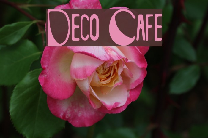 Deco Cafe Fonte examples