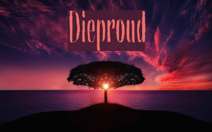 Dieproud Polices examples