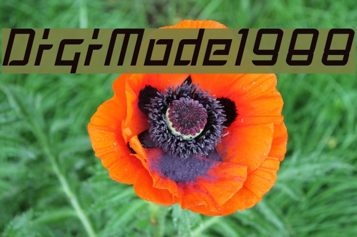 DigiMode1988 フォント examples
