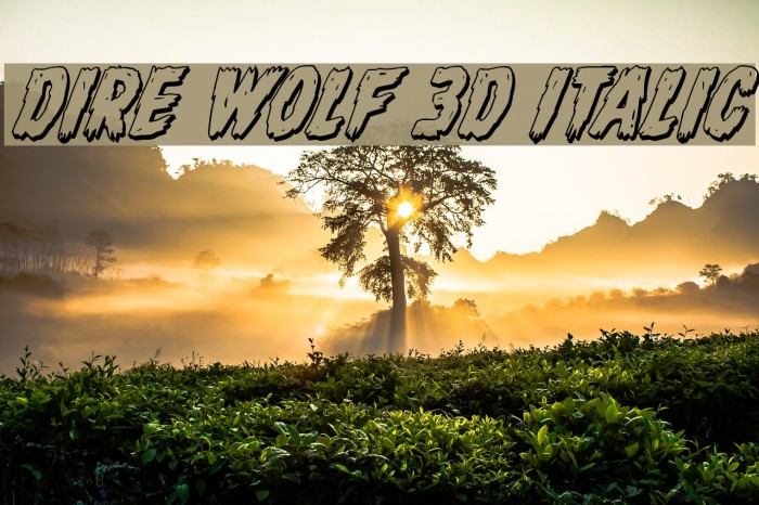 Dire Wolf 3D Italic Fonte examples