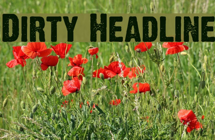 Dirty Headline フォント examples