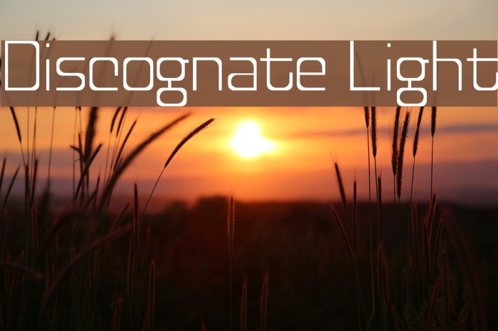 Discognate Light Fonte examples