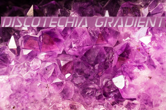 Discotechia Gradient フォント examples