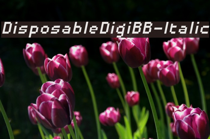 DisposableDigiBB-Italic Font examples