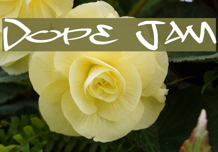 Dope Jam Caratteri examples