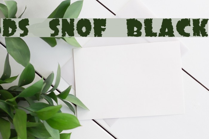 DS SonOf Black フォント examples