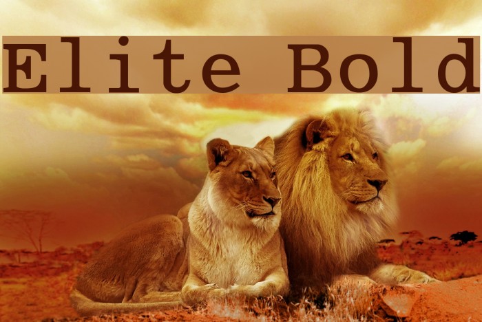 Elite Bold Font examples