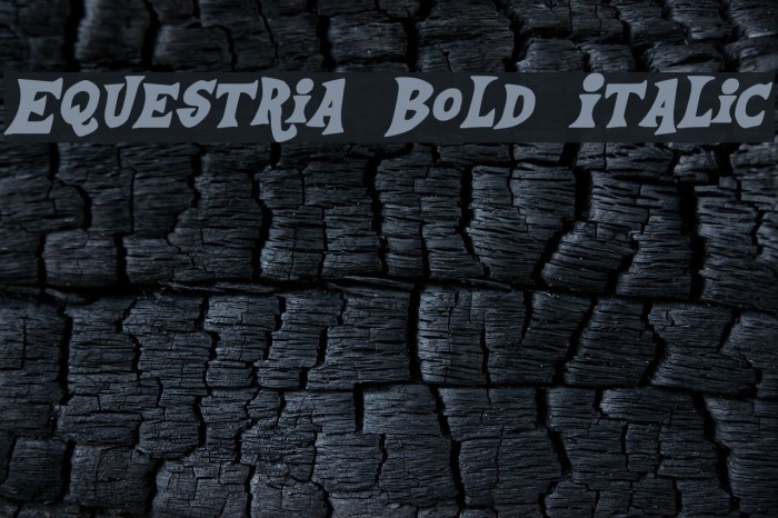 Equestria Bold Italic Font examples