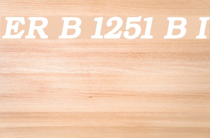 ER Bukinist 1251 Bold Italic Schriftart examples
