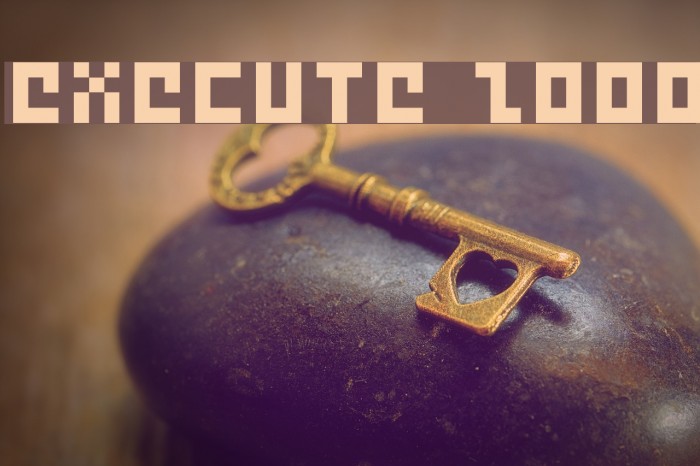 Execute 2000 Fonte examples