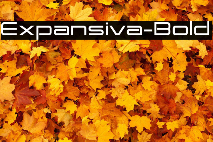 Expansiva-Bold फ़ॉन्ट examples