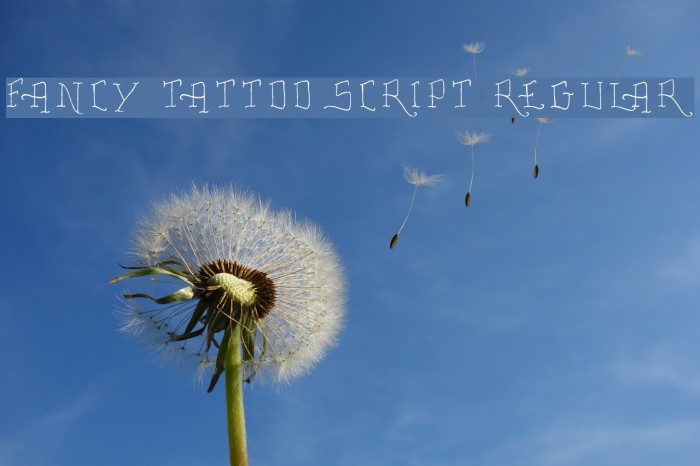 Fancy Tattoo Script Regular Schriftart examples