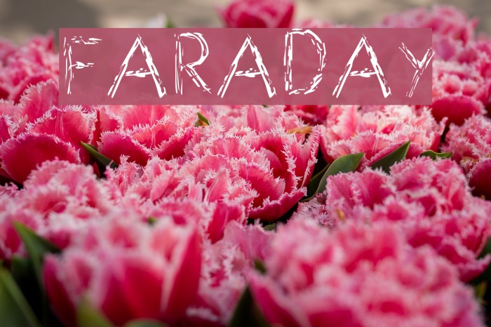 Faraday फ़ॉन्ट examples
