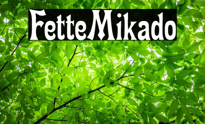 FetteMikado Font examples