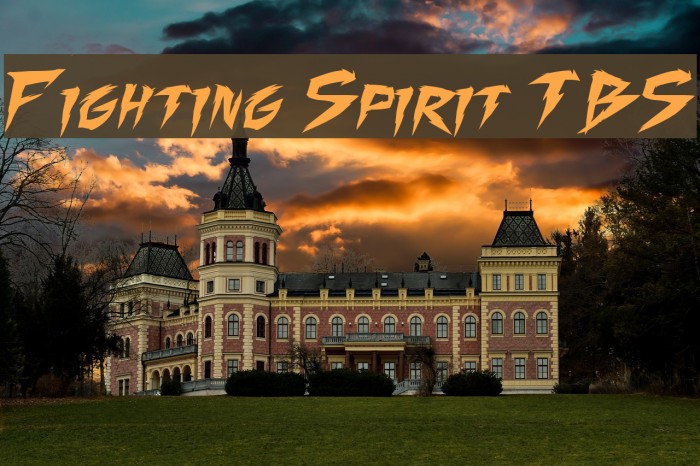 Fighting Spirit TBS 字体 examples