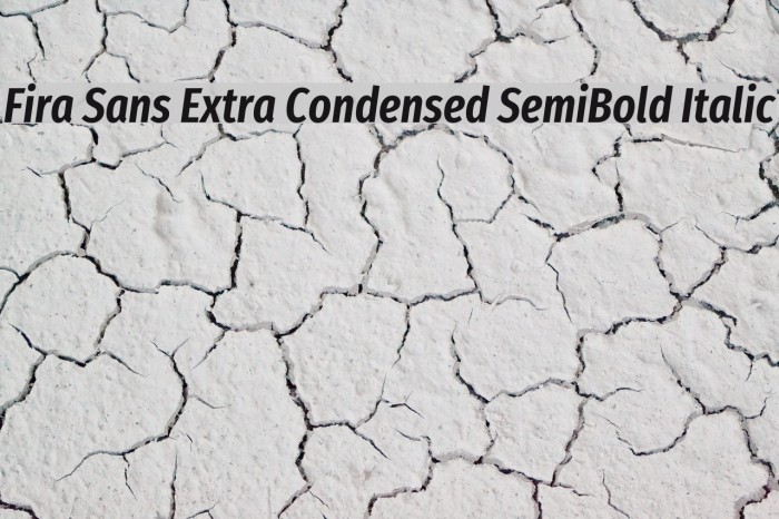 Fira Sans Extra Condensed SemiBold Italic Caratteri examples