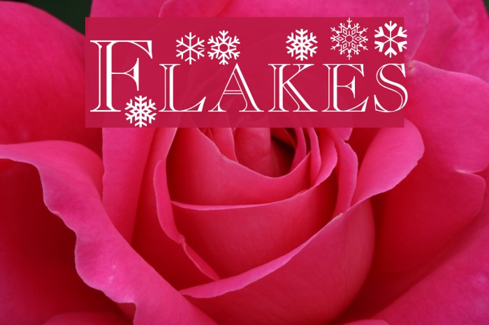 Flakes Schriftart examples
