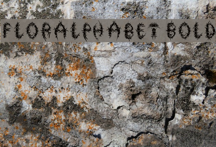 FlorAlphabet Bold Fonte examples