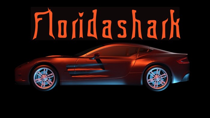 Floridashark 字体 examples