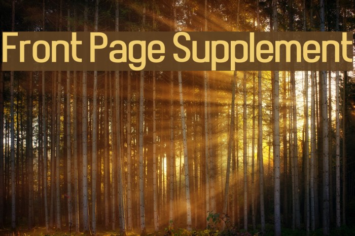 Front Page Supplement Font examples