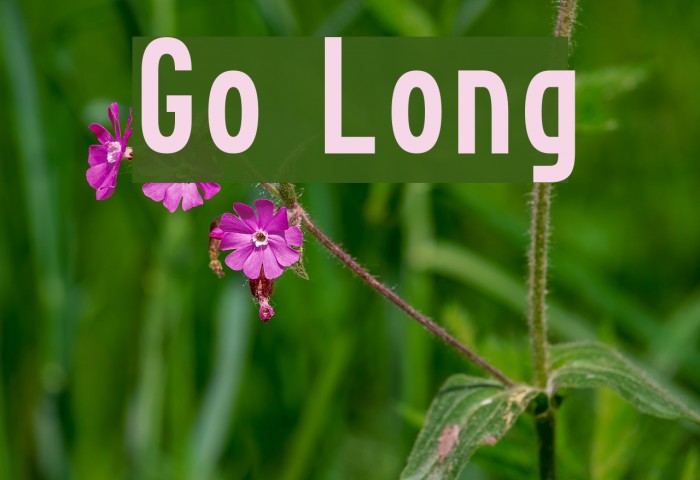 Go Long 字体 examples
