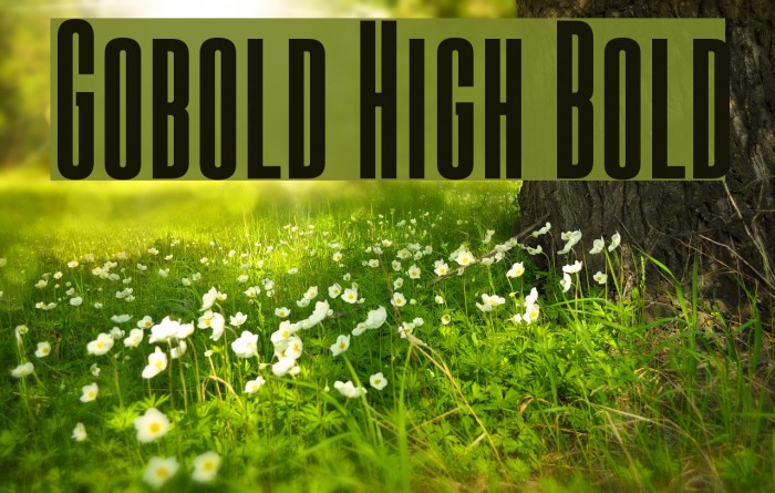 Gobold High Bold لخطوط تنزيل examples