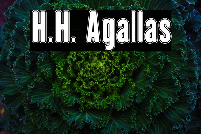 H.H. Agallas 字体 examples