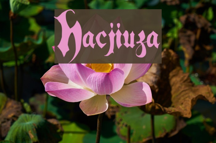 Hacjiuza Fonte examples