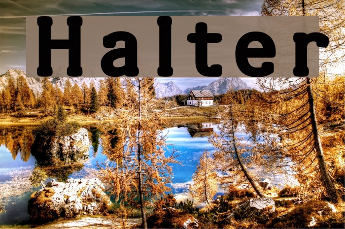 Halter Шрифта examples