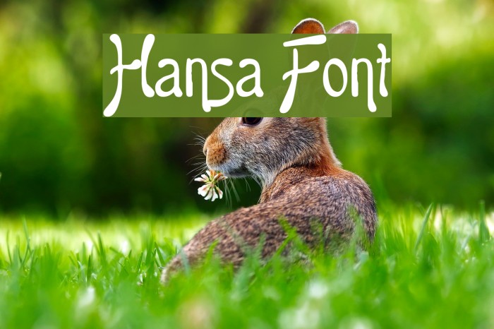Hansa لخطوط تنزيل examples