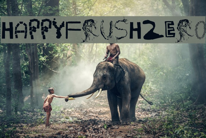 HappyFrushZero Font examples