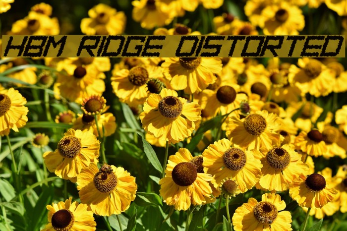 HBM Ridge Distorted フォント examples