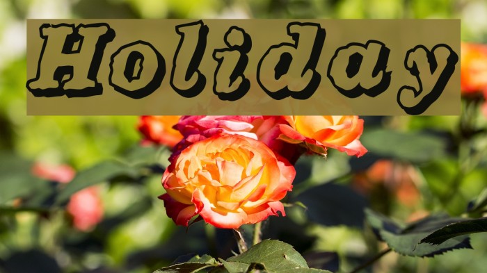 Holiday Polices examples