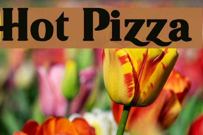 Hot Pizza Fuentes examples