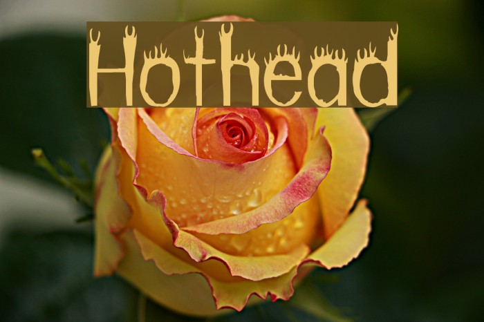 Hothead フォント examples