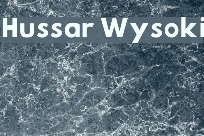 Hussar Wysoki Fuentes examples