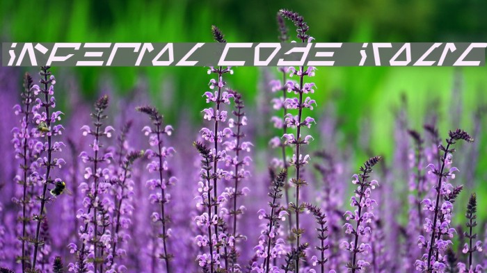 Imperial Code Italic फ़ॉन्ट examples