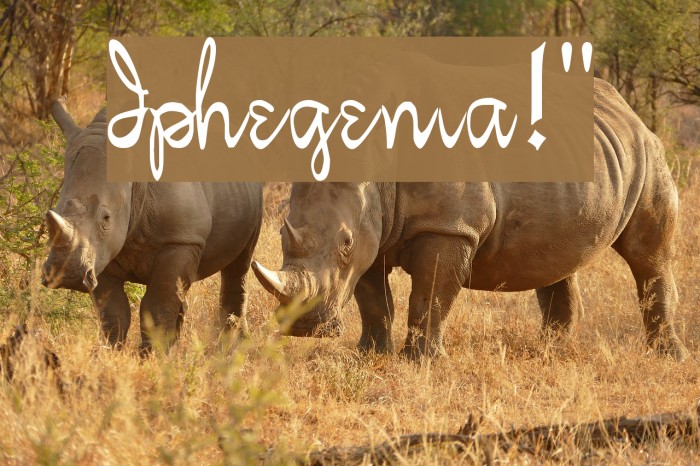 Iphegenia!` لخطوط تنزيل examples