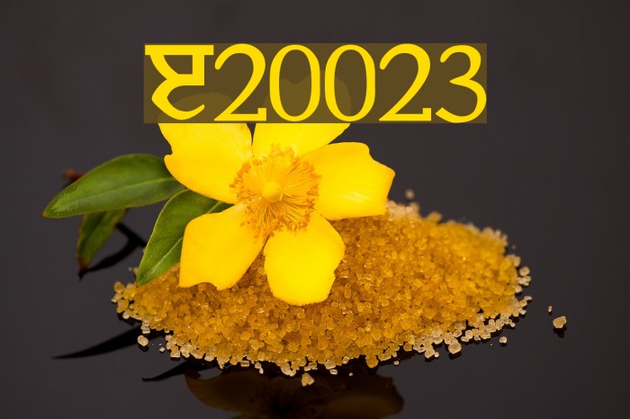 Janmeja2002june3 Font examples