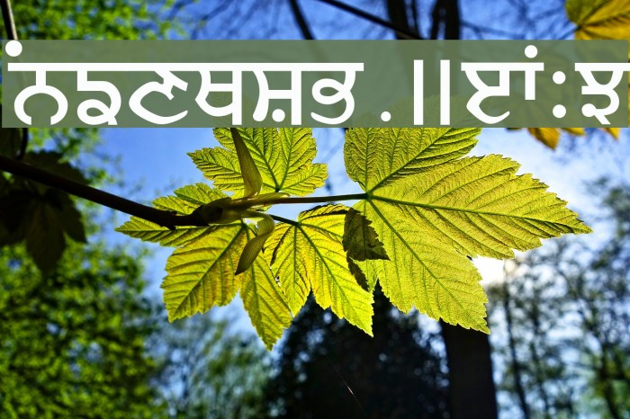 Janmeja2920 फ़ॉन्ट examples