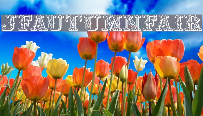 JFAutumnFair फ़ॉन्ट examples